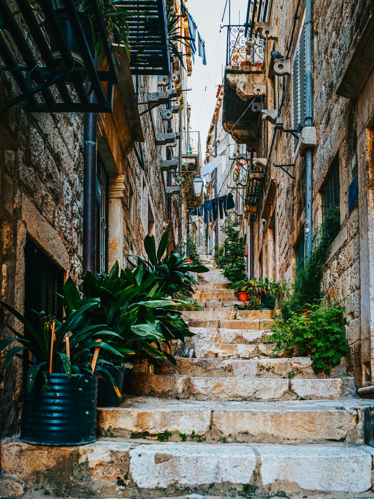 Croatia & Istria — Private Package 9-day tour: Venetian Istria, Roman Pula, Plitvice’s waterfalls, Split, and Dubrovnik.